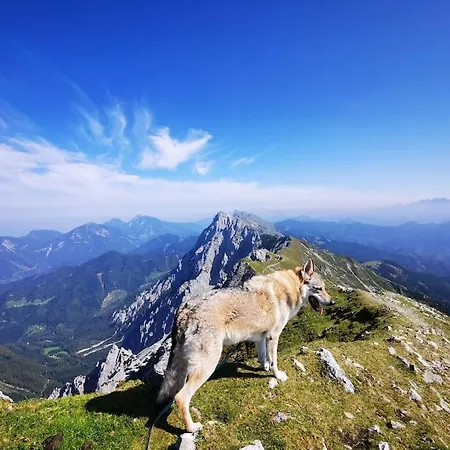 Apartamento Apartma Matevz