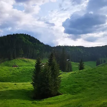 Apartma Matevz * Radovljica