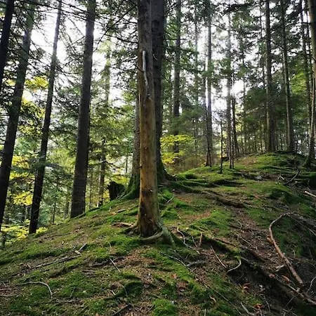 Apartma Matevz Apartamento