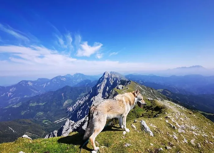 Apartma Apartma Matevz