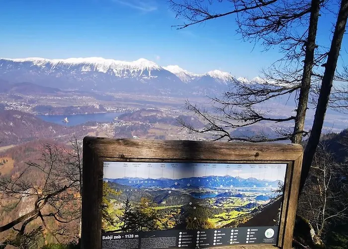 Apartma Matevz * Radovljica