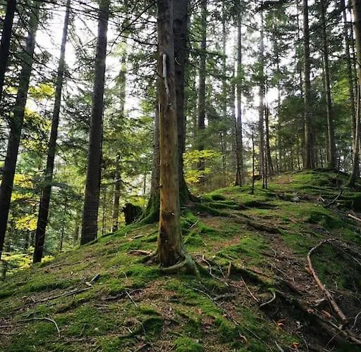 Apartma Matevz Apartma